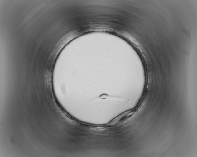 X0000112041329200909141109