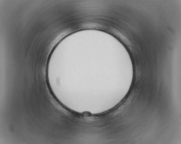 X0000112041330200909141109