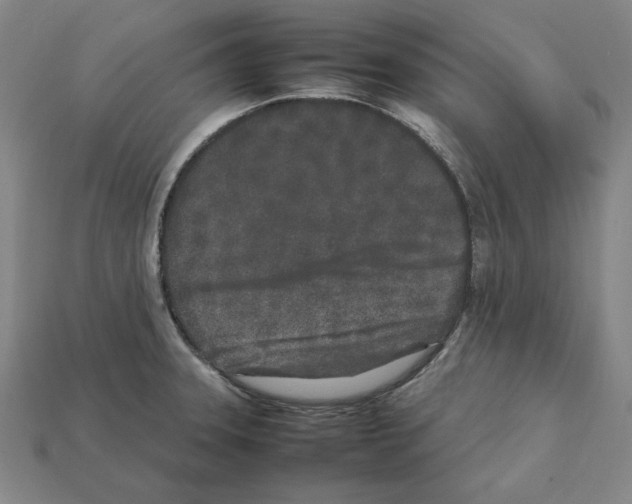 X0000112041331200909141109