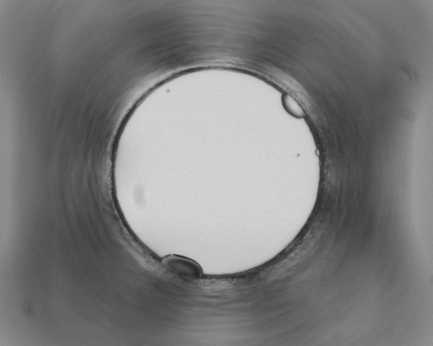 X0000112041332200909141109