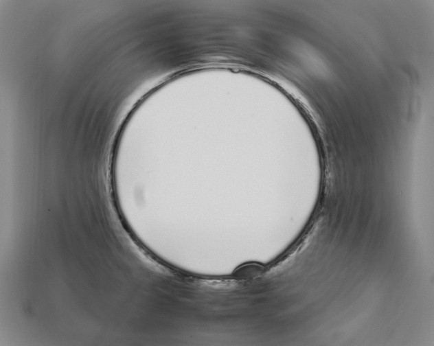 X0000112041333200909141109