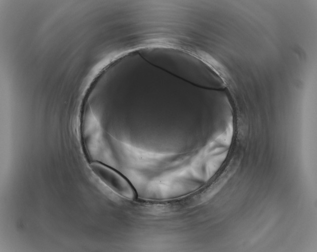 X0000112041334200909141109