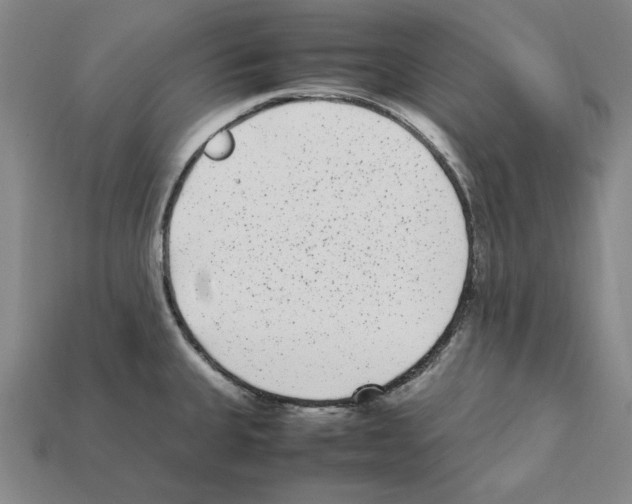 X0000112041335200909141109