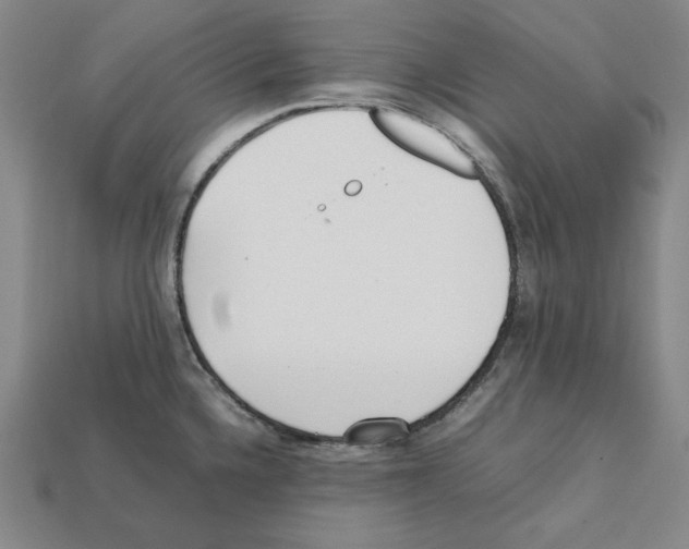 X0000112041336200909141109