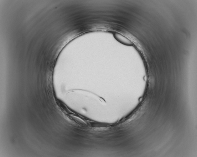 X0000112041337200909141109