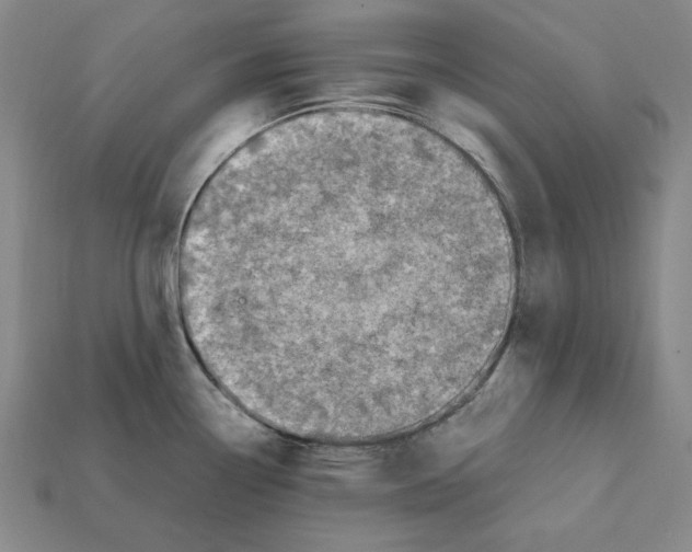 X0000112041338200909141109