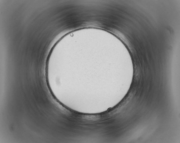 X0000112041339200909141109