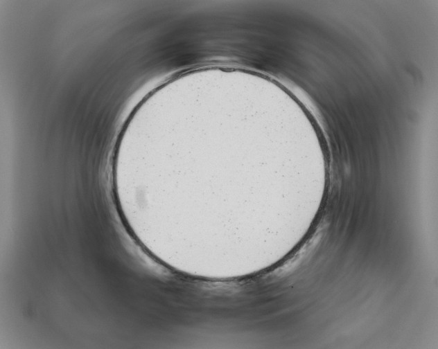 X0000112041341200909141109