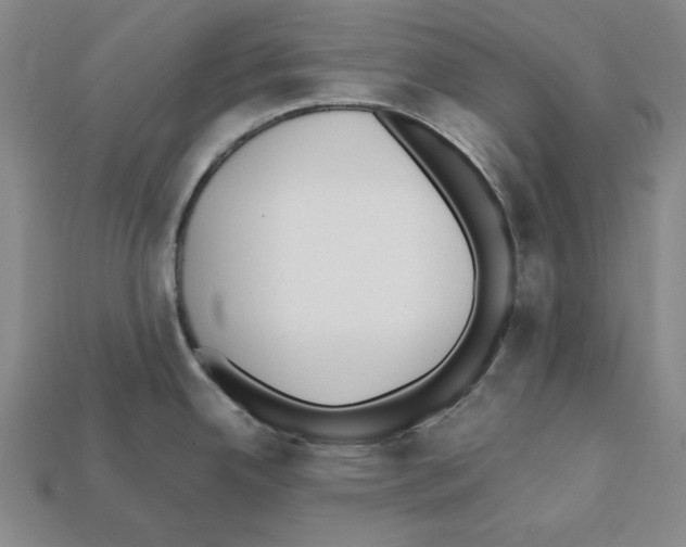 X0000112041342200909141109