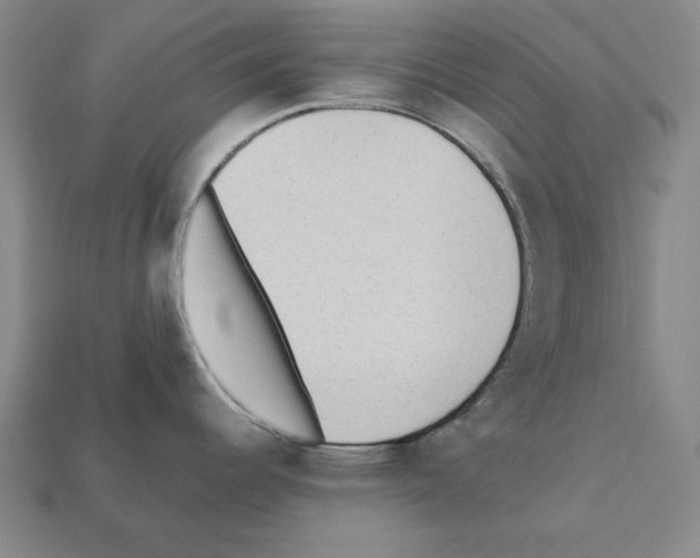X0000112041344200909141109