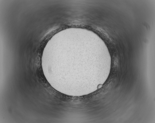 X0000112041350200909141109