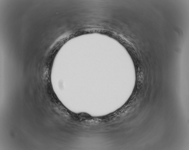 X0000112041351200909141109