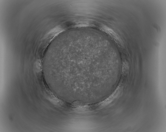 X0000112041353200909141109