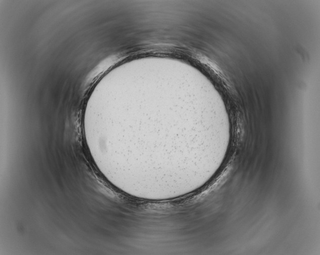 X0000112041354200909141109