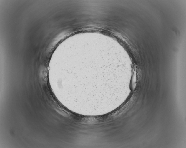 X0000112041355200909141109