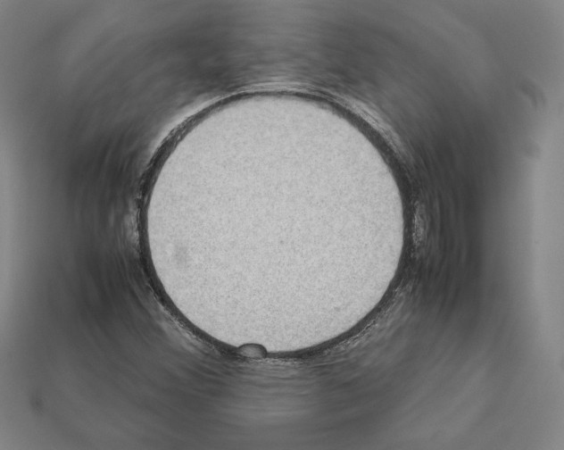 X0000112041356200909141109