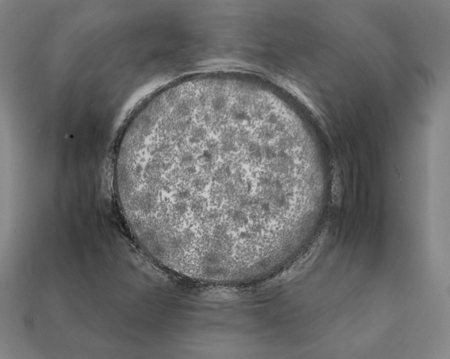 X0000112041358200909141108
