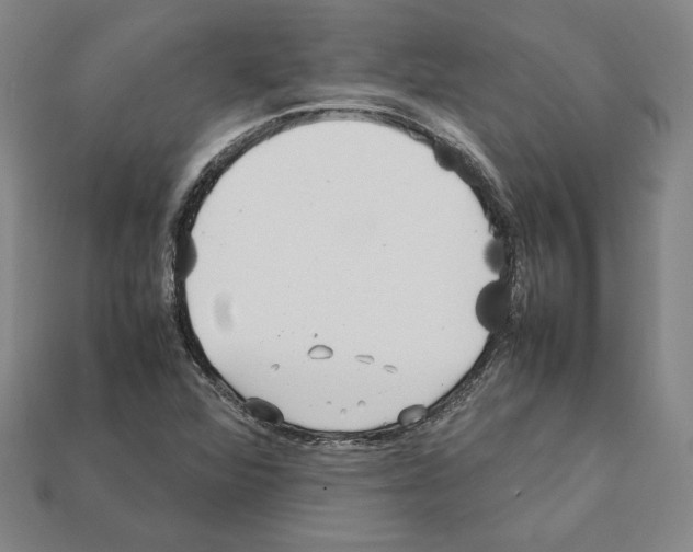 X0000112041360200909141108