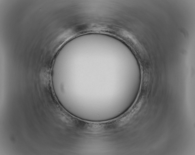 X0000112041361200909141108