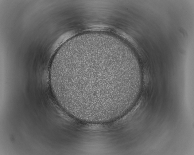X0000112041362200909141108