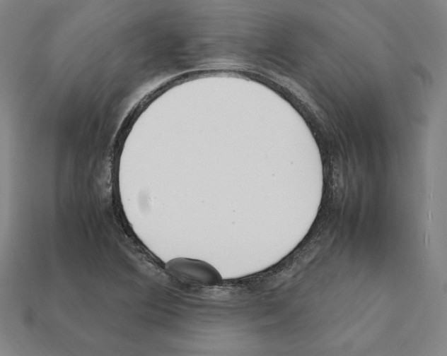 X0000112041364200909141108