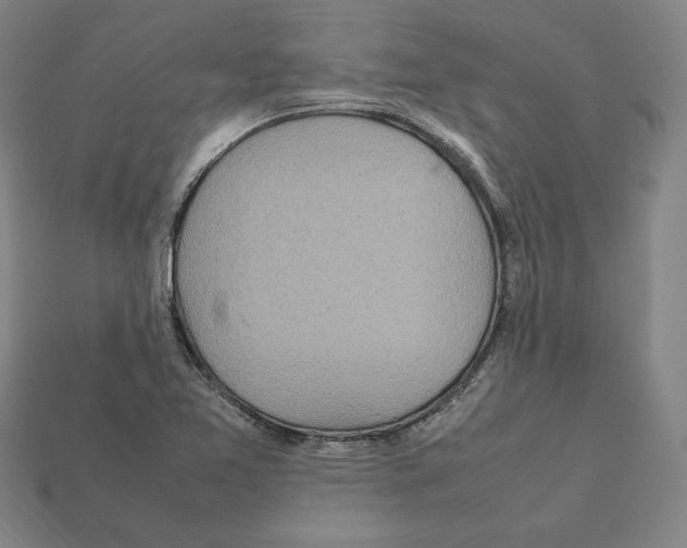 X0000112041365200909141108