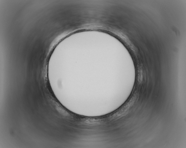 X0000112041366200909141108