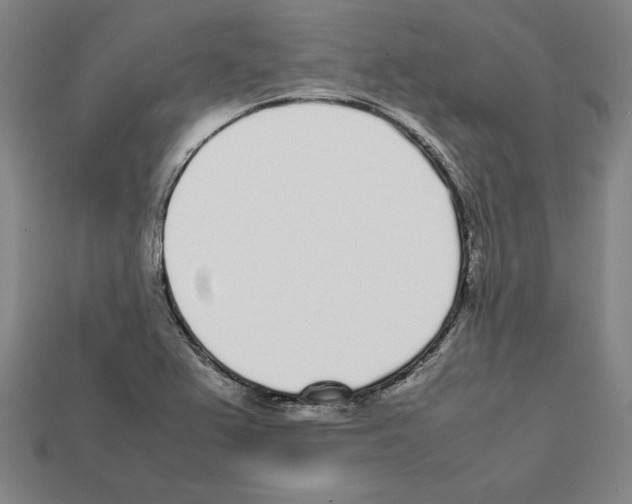 X0000112041367200909141108