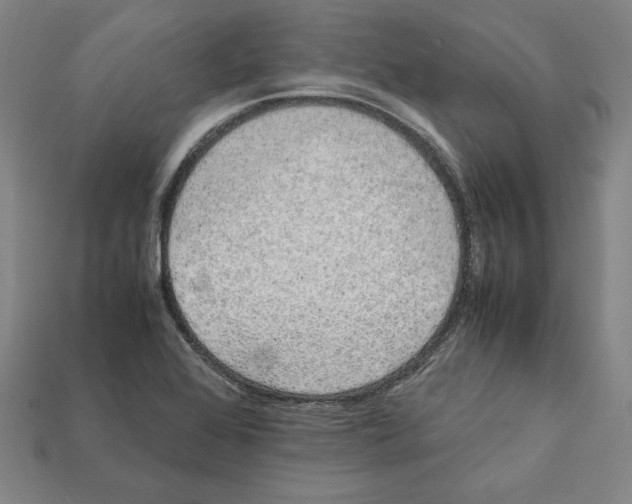 X0000112041368200909141108
