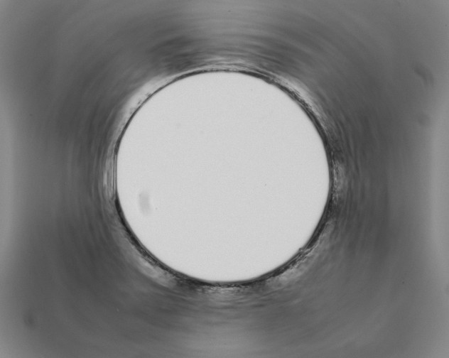 X0000112041371200909141108