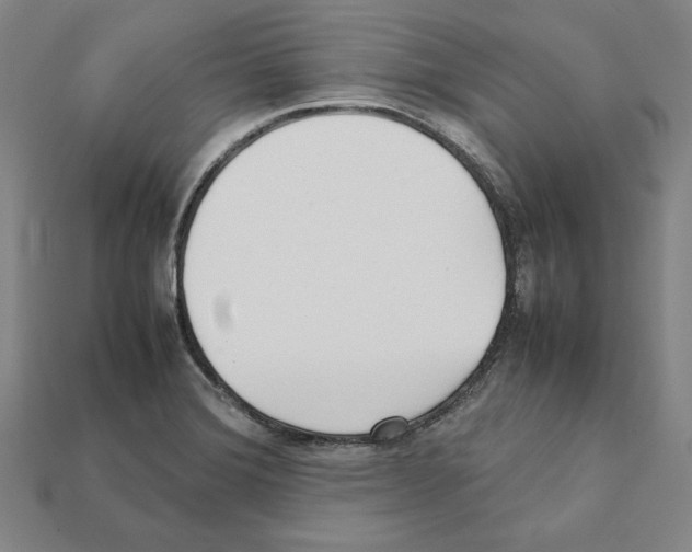 X0000112041372200909141108