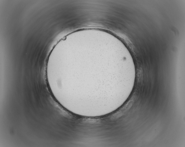 X0000112041374200909141108