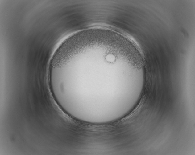 X0000112041376200909141108