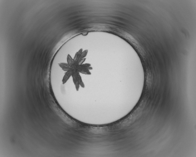X0000112041378200909141108