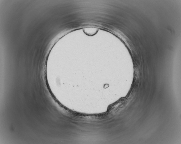 X0000112041379200909141108