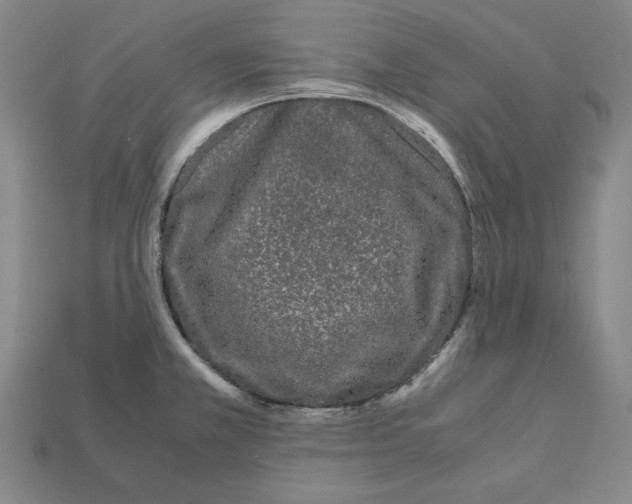 X0000112041381200909141108