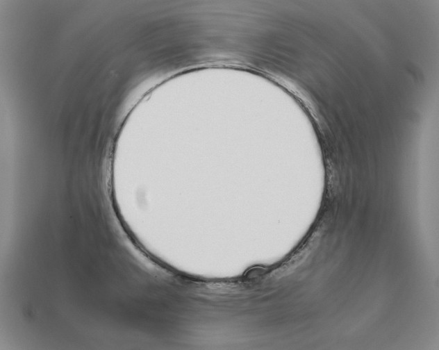 X0000112041383200909141108