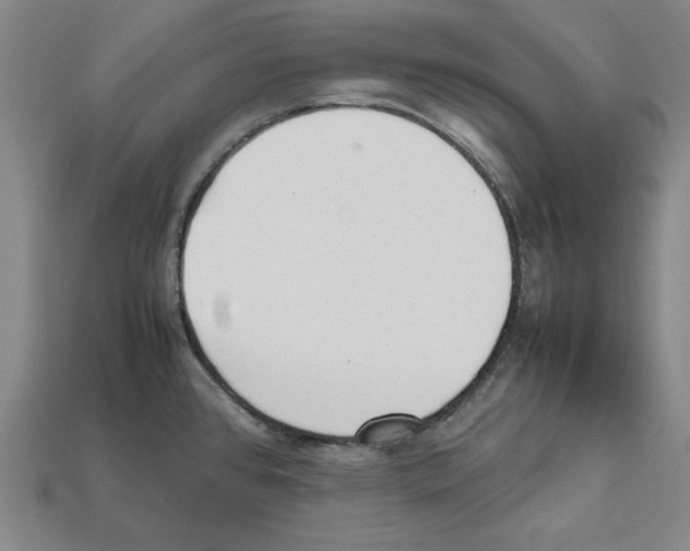X0000112041384200909141108