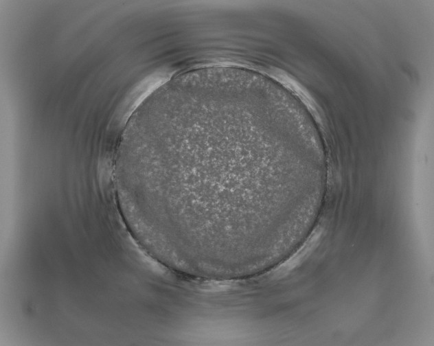 X0000112041385200909141108