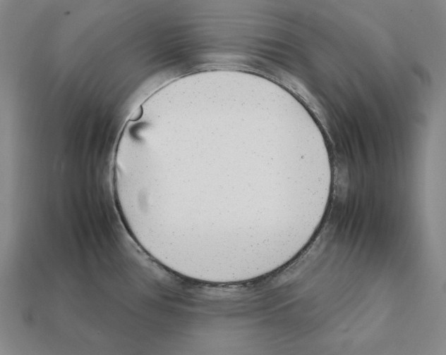 X0000112041386200909141108