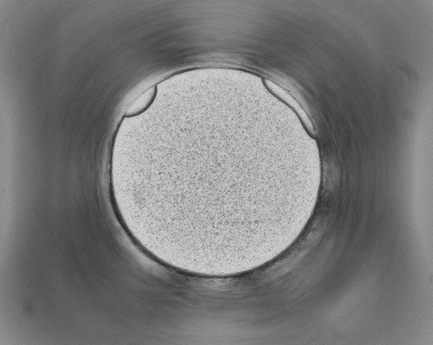 X0000112041387200909141108