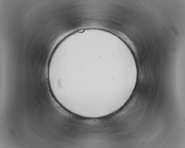 X0000112041388200909141108