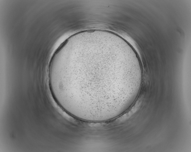 X0000112041389200909141108
