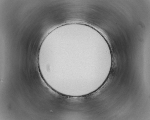 X0000112041390200909141108