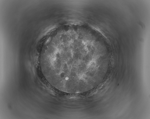 X0000112041399200909141108
