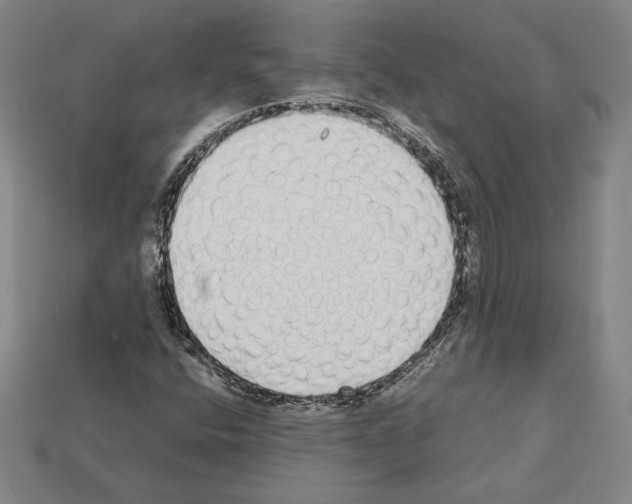 X0000112041400200909141108