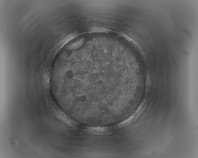 X0000112041401200909141108
