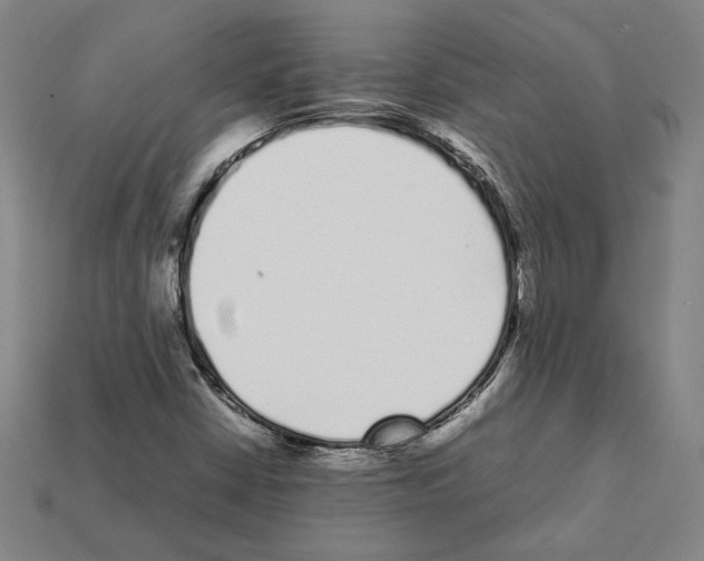 X0000112041402200909141108