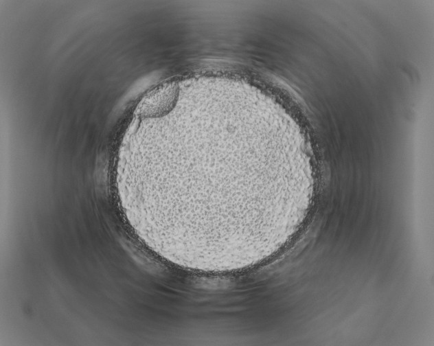 X0000112041403200909141108