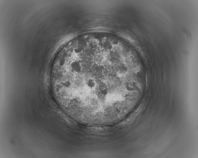 X0000112041405200909141108